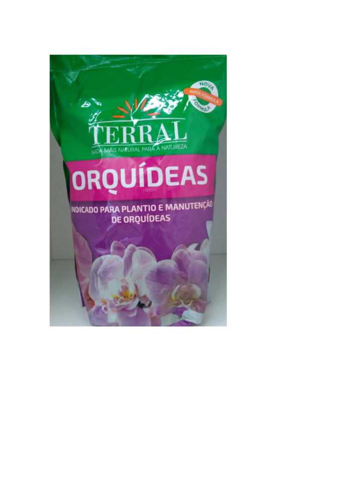 Manutenção e plantio orquídeas.