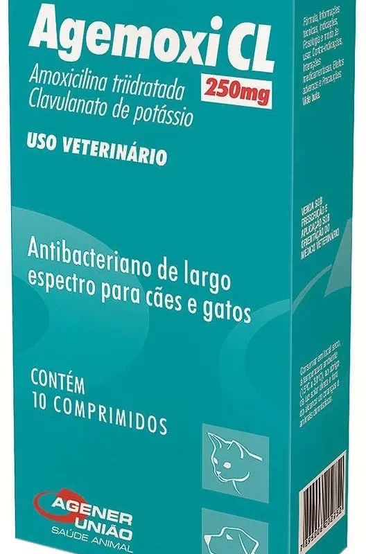 Antimicrobiano para Cães e Gatos