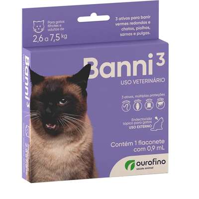 Gatos Adultos e Filhotes