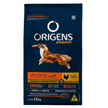 Orignes Energy.