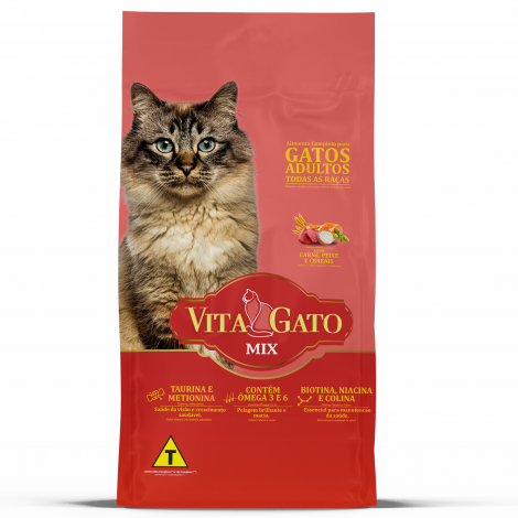 Gatos Adultos