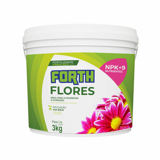 Forth Flores.