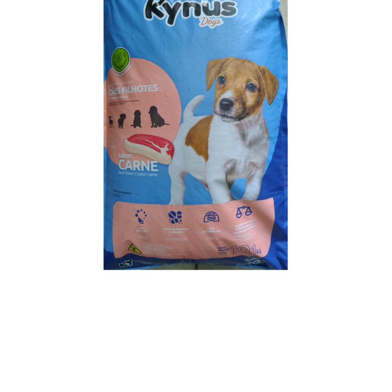 Cães filhotes.