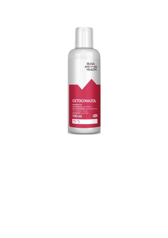 Shampoo antifúngico.