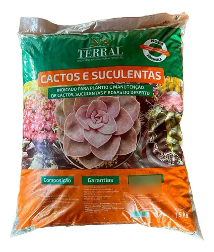 Cactos, Suculentas e Rosas do Deserto.