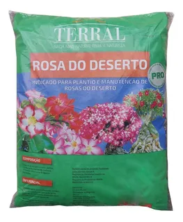 Rosa do Deserto.
