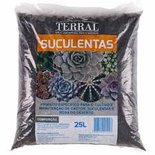 Suculentas.
