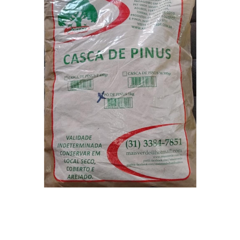 Pó de Pinus.