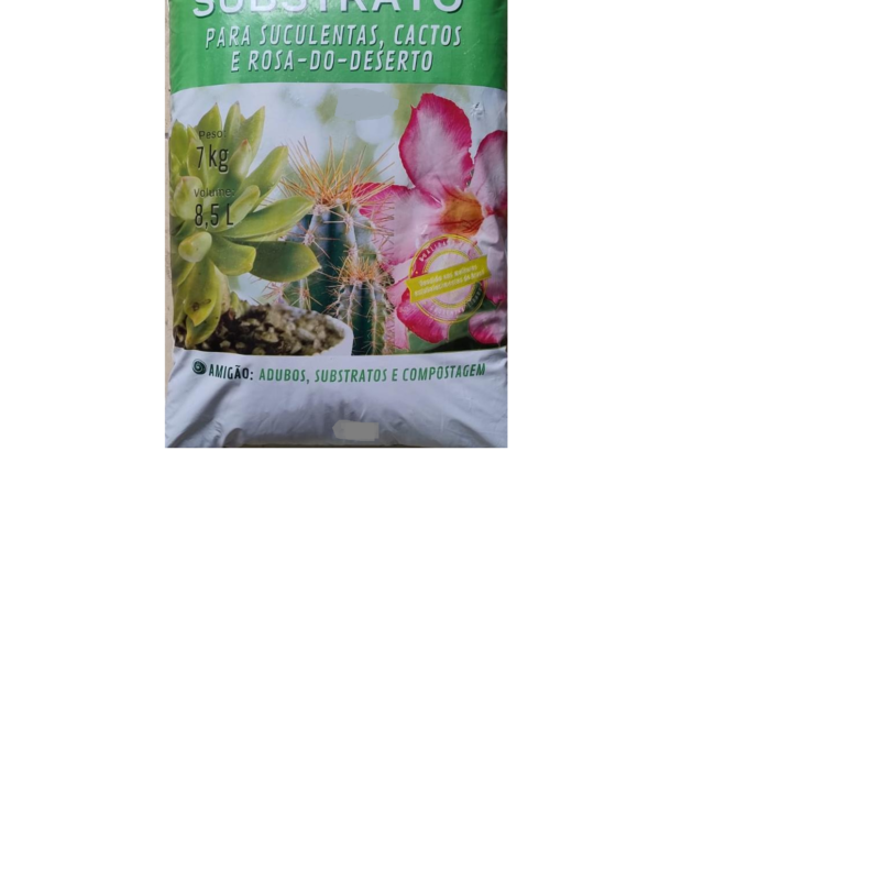 Suculentas, cactos e rosa do deserto.