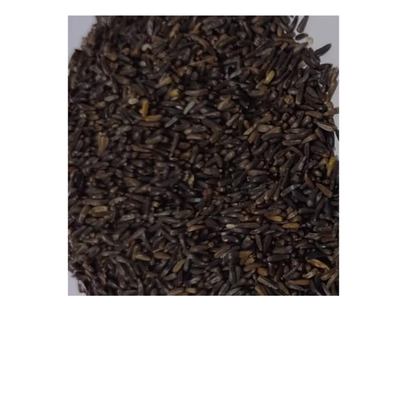 Niger para pássaros.