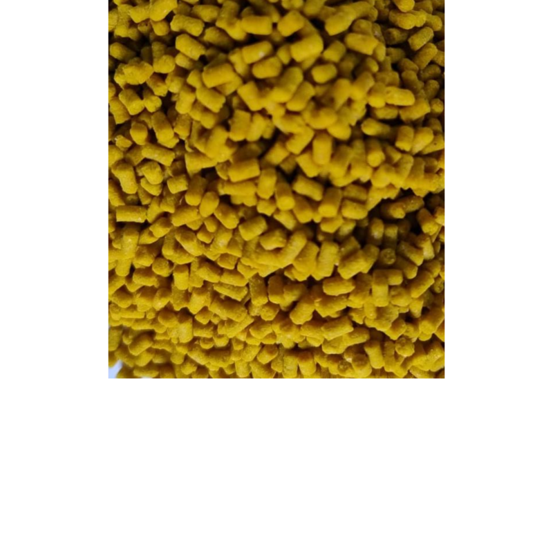 Nativos para pássaros.