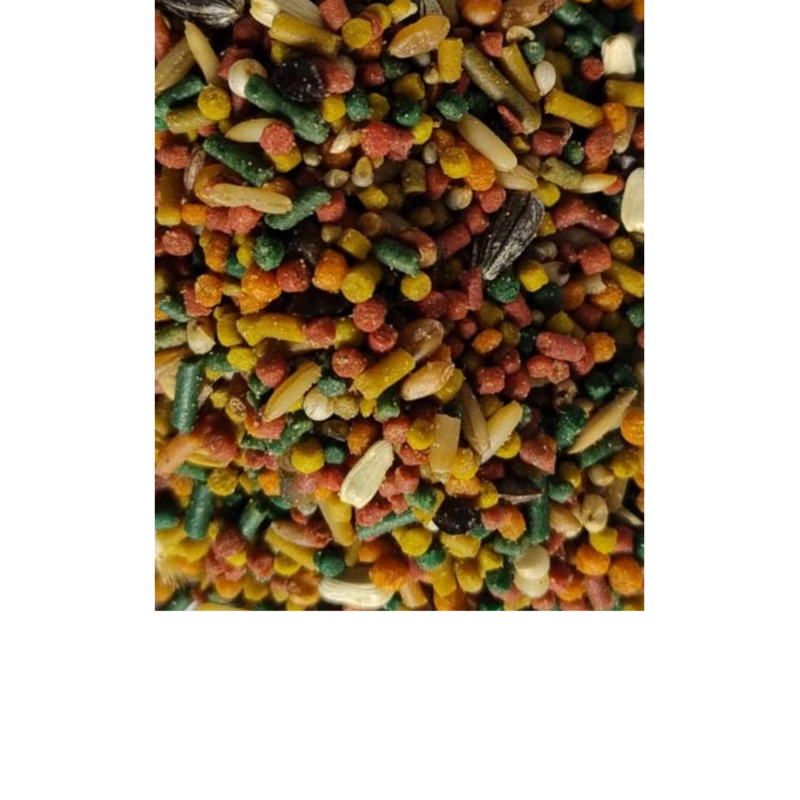 Trinca Ferro e outros pássaros.